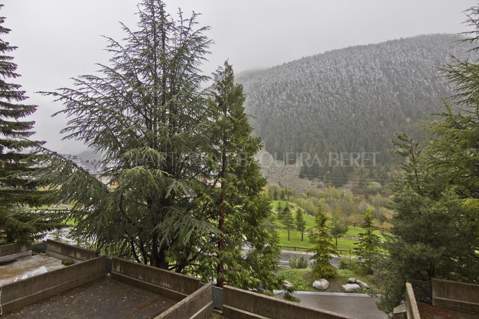 Apartarent 1500 Baqueira Beret Room photo